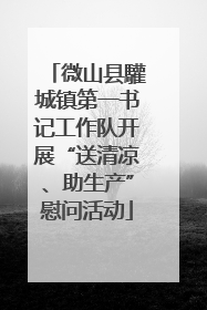 微山县驩城镇第一书记工作队开展“送清凉、助生产”慰问活动