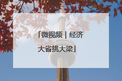 微视频｜经济大省挑大梁