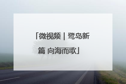 微视频｜鹭岛新篇 向海而歌
