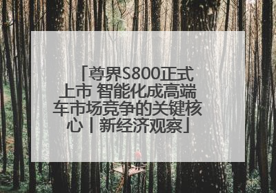 尊界S800正式上市 智能化成高端车市场竞争的关键核心丨新经济观察