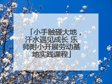 小手触碰大地，汗水遇见成长 乐师附小开展劳动基地实践课程
