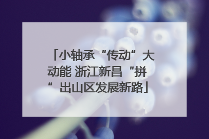 小轴承“传动”大动能 浙江新昌“拼”出山区发展新路