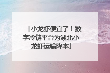 小龙虾便宜了！数字冷链平台为湖北小龙虾运输降本