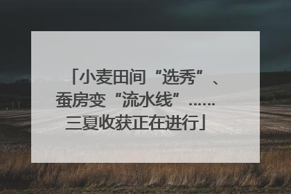 小麦田间“选秀”、蚕房变“流水线”……三夏收获正在进行