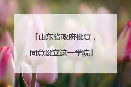 山东省政府批复，同意设立这一学院