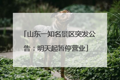 山东一知名景区突发公告：明天起暂停营业