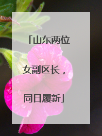 山东两位女副区长，同日履新