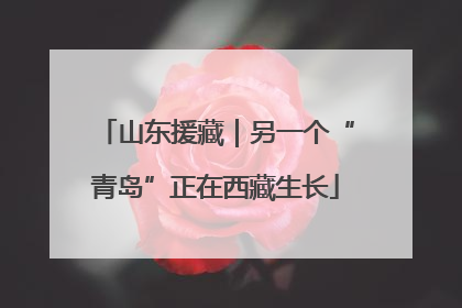 山东援藏｜另一个“青岛”正在西藏生长
