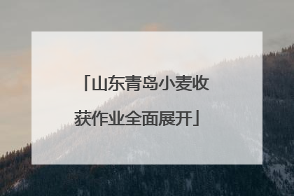 山东青岛小麦收获作业全面展开