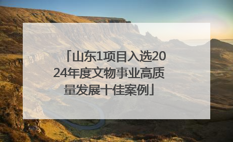 山东1项目入选2024年度文物事业高质量发展十佳案例