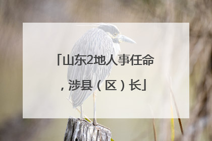 山东2地人事任命，涉县（区）长