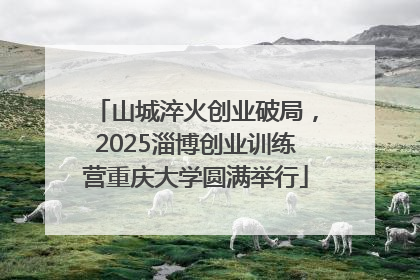 山城淬火创业破局，2025淄博创业训练营重庆大学圆满举行