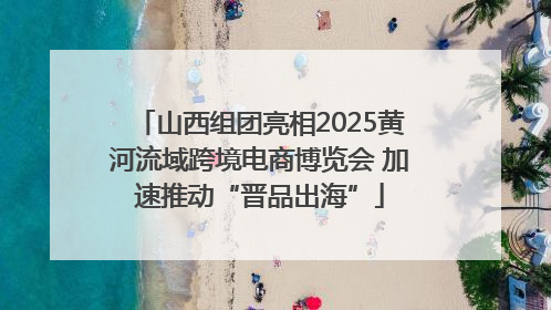 山西组团亮相2025黄河流域跨境电商博览会 加速推动“晋品出海”