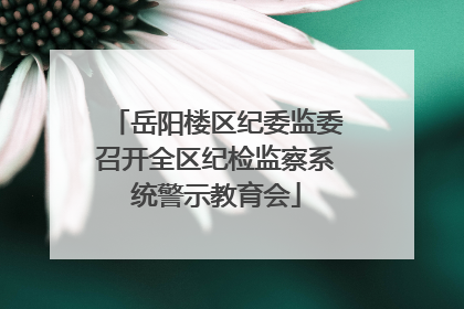 岳阳楼区纪委监委召开全区纪检监察系统警示教育会