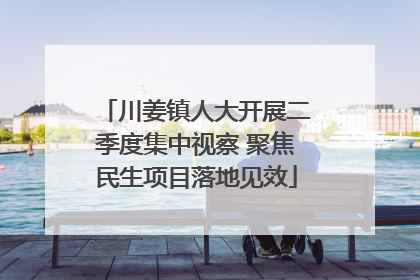 川姜镇人大开展二季度集中视察 聚焦民生项目落地见效