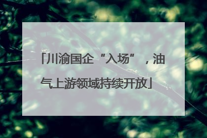 川渝国企“入场”，油气上游领域持续开放