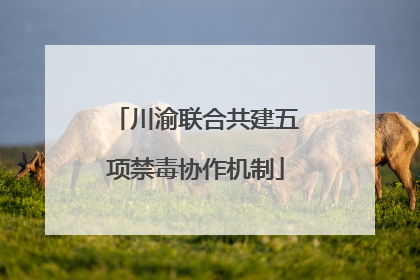 川渝联合共建五项禁毒协作机制