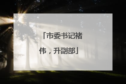 市委书记褚伟，升副部