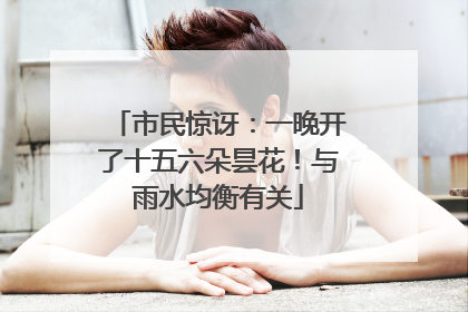 市民惊讶：一晚开了十五六朵昙花！与雨水均衡有关