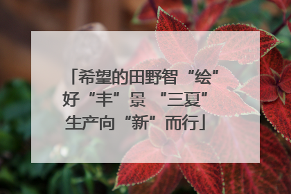希望的田野智“绘”好“丰”景 “三夏”生产向“新”而行