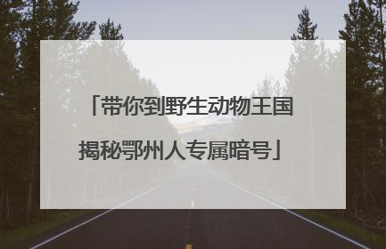 带你到野生动物王国揭秘鄂州人专属暗号