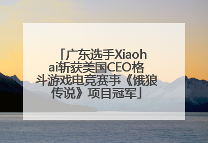 广东选手Xiaohai斩获美国CEO格斗游戏电竞赛事《饿狼传说》项目冠军