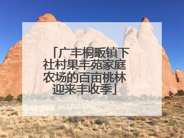 广丰桐畈镇下社村果丰苑家庭农场的百亩桃林迎来丰收季