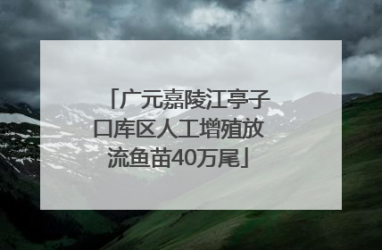 广元嘉陵江亭子口库区人工增殖放流鱼苗40万尾