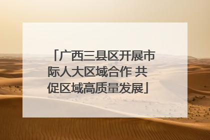 广西三县区开展市际人大区域合作 共促区域高质量发展