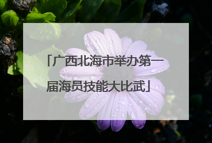 广西北海市举办第一届海员技能大比武
