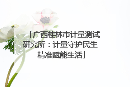 广西桂林市计量测试研究所：计量守护民生 精准赋能生活