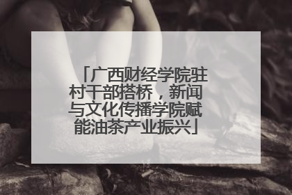 广西财经学院驻村干部搭桥，新闻与文化传播学院赋能油茶产业振兴