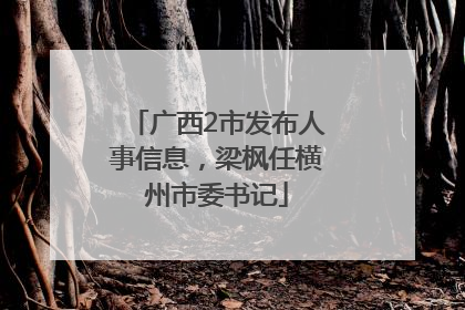广西2市发布人事信息，梁枫任横州市委书记