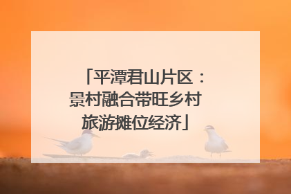平潭君山片区：景村融合带旺乡村旅游摊位经济