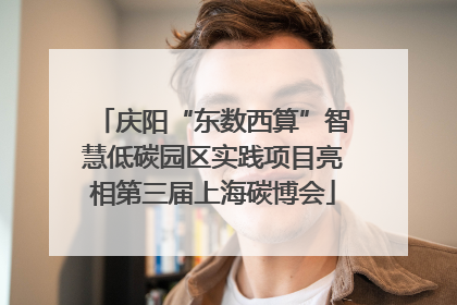 庆阳“东数西算”智慧低碳园区实践项目亮相第三届上海碳博会