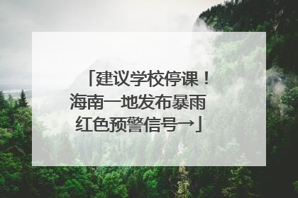 建议学校停课！海南一地发布暴雨红色预警信号→