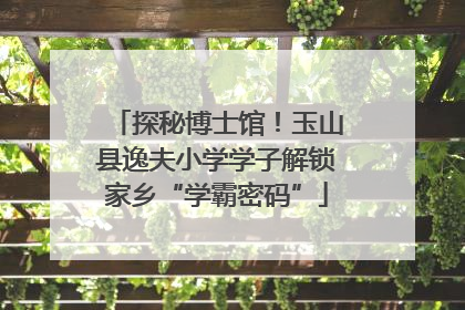探秘博士馆！玉山县逸夫小学学子解锁家乡“学霸密码”
