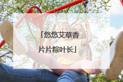 悠悠艾草香 片片粽叶长
