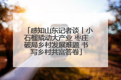 感知山东记者谈丨小石榴撬动大产业 枣庄破局乡村发展难题 书写乡村共富答卷