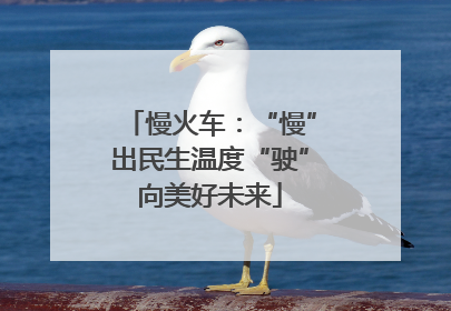 慢火车：“慢”出民生温度“驶”向美好未来