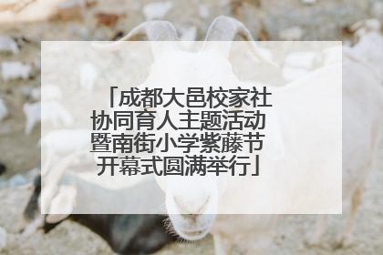 成都大邑校家社协同育人主题活动暨南街小学紫藤节开幕式圆满举行