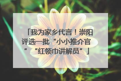 我为家乡代言！崇阳评选一批“小小推介官”“红领巾讲解员”