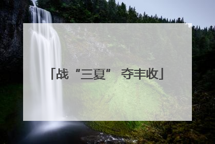 战“三夏” 夺丰收