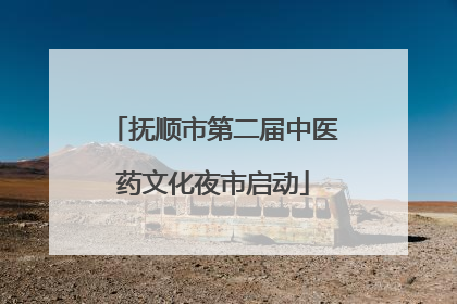 抚顺市第二届中医药文化夜市启动