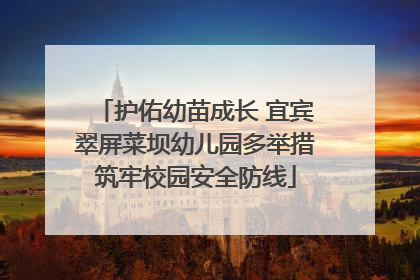 护佑幼苗成长 宜宾翠屏菜坝幼儿园多举措筑牢校园安全防线