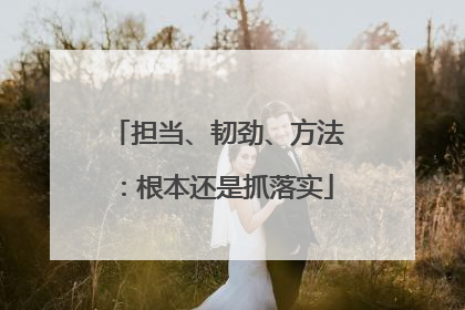 担当、韧劲、方法：根本还是抓落实