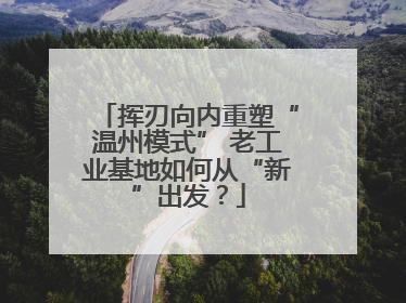 挥刃向内重塑“温州模式” 老工业基地如何从“新”出发？