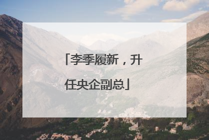 李季履新，升任央企副总