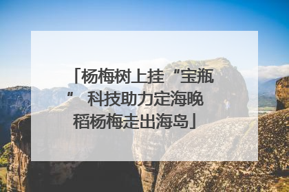 杨梅树上挂“宝瓶” 科技助力定海晚稻杨梅走出海岛