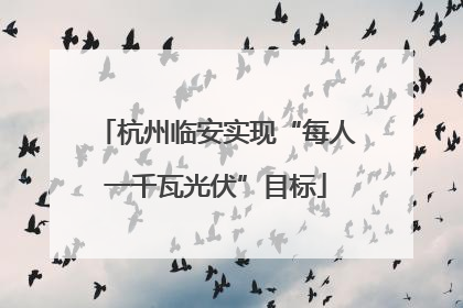 杭州临安实现“每人一千瓦光伏”目标